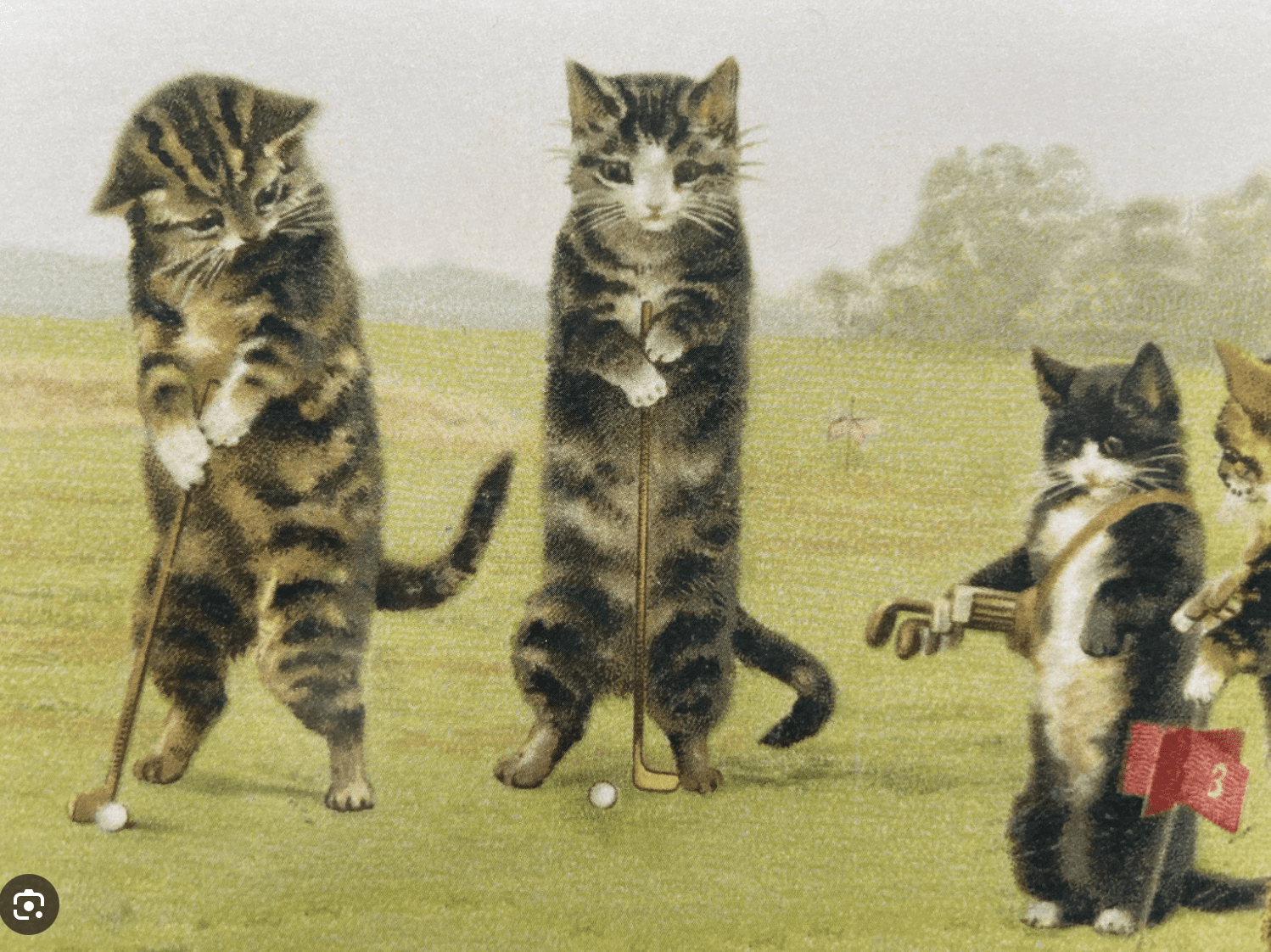 cats playing golf